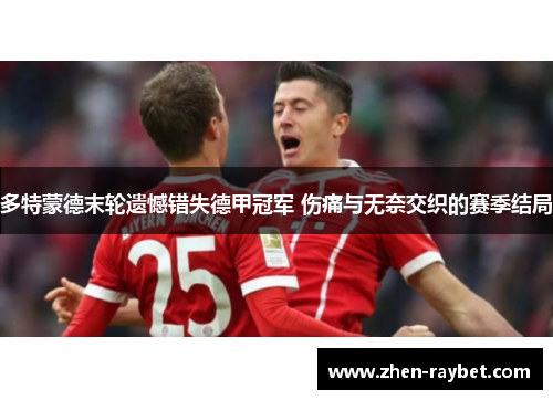 多特蒙德末轮遗憾错失德甲冠军 伤痛与无奈交织的赛季结局